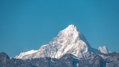 Crypto's Current Climb: JPMorgan Suggests Rally May Be Reaching Its Peak