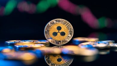 Die neue Kryptowährung Borroe Finance konkurriert zusammen mit XRP und BNB