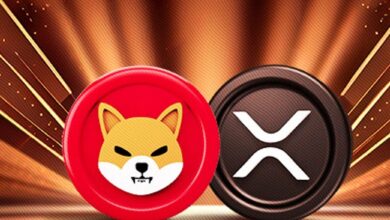Shiba Inu XRP