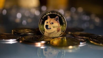 Dogecoin whales
