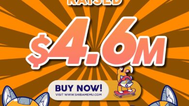 Ist der Rückgang eine Gelegenheit, mehr Meme-Token zu kaufen?