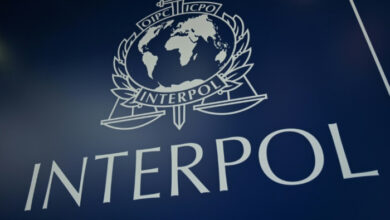 „Blumentätowierung“ britische Frau 31 Jahre nach Mord identifiziert: Interpol