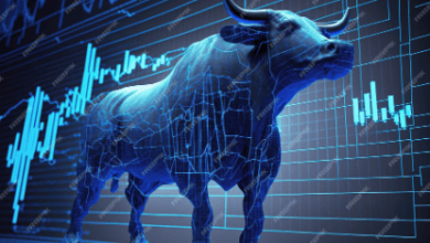 Bitcoin Bull