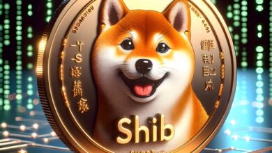 D3 und Shiba Inu, Viction-Partner für Top-Level-Domains