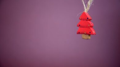 crypto christmas