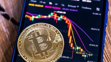 Institutionen heben zwei Schlüsselfaktoren für den Preisanstieg von Bitcoin (BTC) 2024 und den Erfolg von BorroeFinance im Vorverkauf hervor