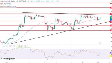 Marktdynamik von Bitcoin: Eine technische Analyse am Weihnachtstag