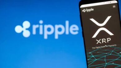 Ripple Gibt 800 Millionen XRP an das Treuhandkonto zurück; Der Vorverkauf von BorroeFinance wird bald 2 Millionen US-Dollar erreichen