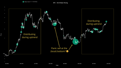 Bitcoin ruhende Wale