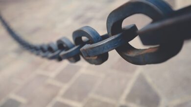 ShimmerEVM von IOTA integriert LayerZero für die kettenübergreifende Kommunikation