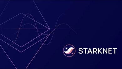 Starknet verteilt 10 % der Netzwerkgebühren an Entwickler