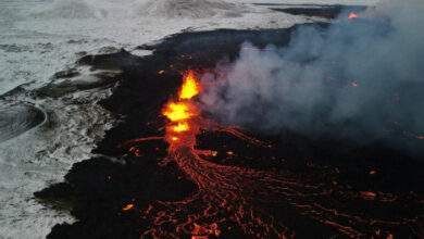 „Lavajäger“ behalten Island im Auge