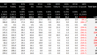 Bitcoin Spot ETF Flow – Tag 13
