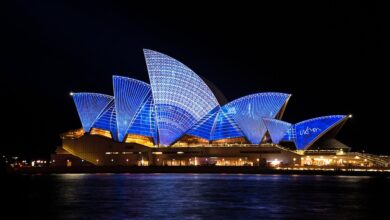 Beobachtungen in Australien: Beutelmäuse haben Sex bis zum Tod