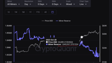 Bitcoin Miner Reservieren