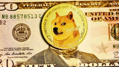 DOGE, Dogecoin