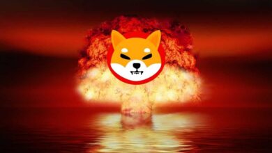 Shiba Inu