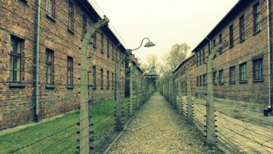 „Können wir gebrauchen“: Deutschland will mehr Vietnamesen zu sich holen