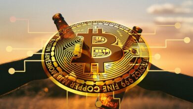 Why Was This Web3 Influencer Kicked Off Gala Games Creator Program?