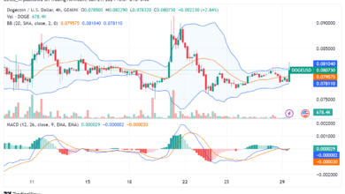 Dogecoin Digs Deeper: A Look at the Memecoin