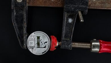 HONK Jumps 465% in 5 Days and RBLZ Hits Milestone