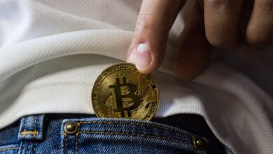 The Major Shifts in Top 30 Cryptos During Q4 2023: CoinGecko