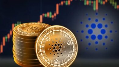 Cardano