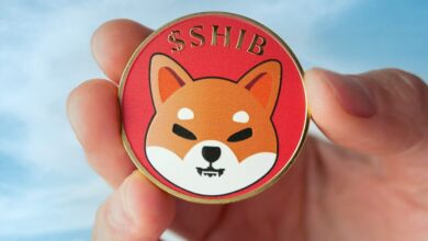 Justin Sun sichert sich 656,4 Milliarden Shiba-Inu-Tokens in der Wallet; Gala und Borroe Finance rechnen mit starken Preissteigerungen