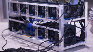 Shiba Inu (SHIB) Price Falls Back to Support – What Lies Ahead?