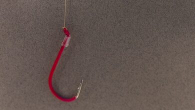 Crypto Phishing