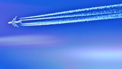 Luftverkehr - Boeing 737-9 Max nach Inspektion wieder im Dienst - Wirtschaft
