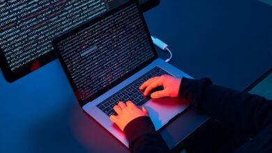 Manta Network bekämpft DDoS-Angriff nach TGE, während neuer Telegram-Bot die Show stiehlt