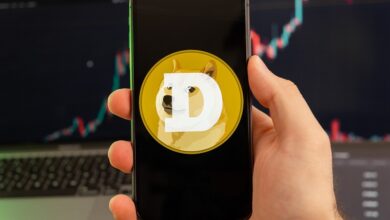 Rebel Satoshi wenige Wochen nach dem Start kämpfen Dogecoin und Celestia darum, den Anstieg aufrechtzuerhalten