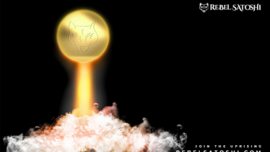 Shiba Inu steigt in die Höhe, während die Token-Verbrennung zunimmt; Die Popularität von Polkadot und Rebel Satoshi steigt