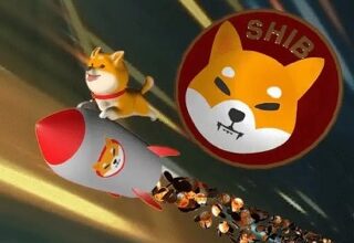 Shiba Inu Shibarium Small