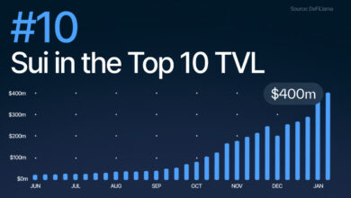Sui stürmt in die DeFi-Top 10, während der TVL auf über 430 Millionen US-Dollar steigt