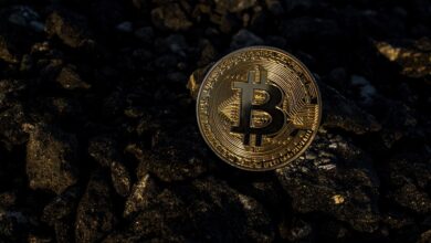 Terraform Labs Initiates Bankruptcy Procedures in United States