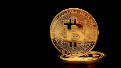 Terraform Labs Claims it Doesn’t Operate to ‘Gain Profits’