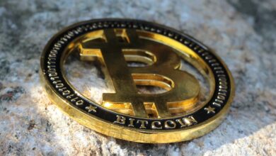 US Regulator Finds Overwhelming Amount of False Statements in Crypto Marketing