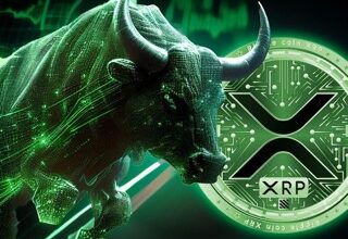 XRP price Small