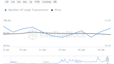 Wale toben: Cardano-Transaktionen steigen um 11 % – bevorstehende Preiserhöhung?