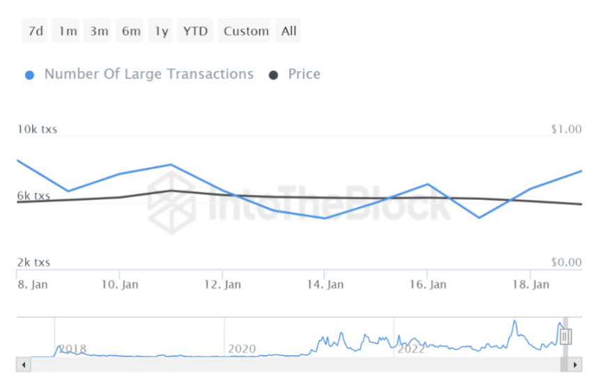 Wale toben: Cardano-Transaktionen steigen um 11 % – bevorstehende Preiserhöhung?