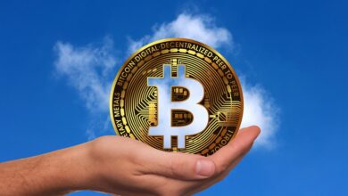 Cardano (ADA) Price Decrease Continues Below $0.50 – When Will it End?