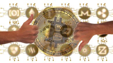 Why OKX Delisted the WallStreetBets DApp (WSB) Memecoin After a 58% Flash Crash