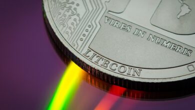Why MANTA Total Value Locked Surged to $1.7 Billion Despite Airdrop Disappointment