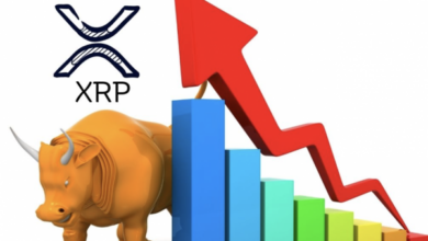 XRP ETF wird voraussichtlich im April 2024 auf den Markt kommen – Pläne von Blackrock und Grayscale enthüllt