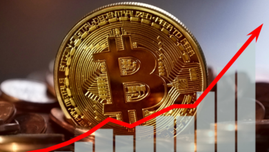 Bitcoin steigt weiter – steuert es auf die 50.000-Dollar-Marke zu?