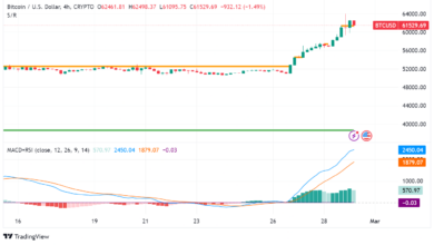 Bitcoin Crosses $61,000: Bullish Signs and Technical Analysis