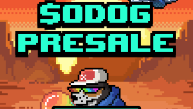 Bitcoin übersteigt zum ersten Mal seit 2022 die 48.000-Dollar-Marke, da der Vorverkauf von Bitcoin Dogs in drei Tagen beginnt