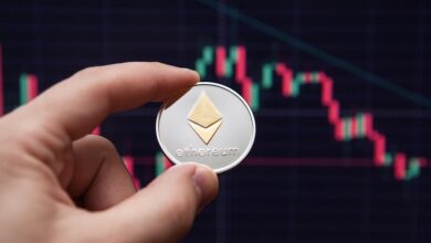 Borroe Finance macht im Vorverkauf auf sich aufmerksam Ethereum und BNB-Investoren suchen nach neuen Möglichkeiten